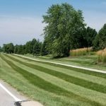 Lawn Fertilization 101: Why January Is the Perfect Time to Begin Your Program
