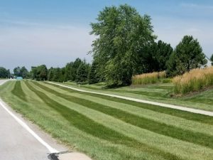 Read more about the article Lawn Fertilization 101: Why January Is the Perfect Time to Begin Your Program